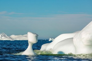 格陵蘭島西海岸，北極圈以北250公里處的迪斯科灣，許多冰山漂進峽灣，並逐漸融化。 （圖源：Sipaphoto）