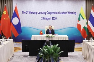 政府總理阮春福在視頻會議上講話。（圖源：越通社）