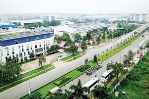 本市一個租地項目。