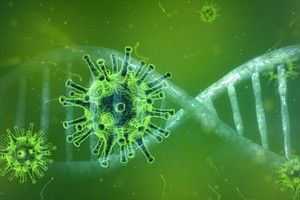 （示意圖源：互聯網）