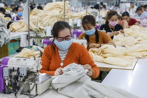 （示意圖源：瓊陳）