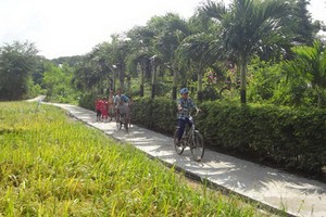 圖為前江省鵝貢東縣新東鄉NTM聯鄉路一瞥。（圖源：黃南）