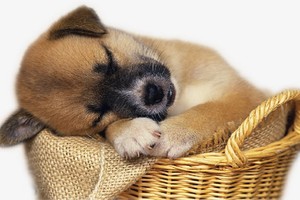 （示意圖源：互聯網） 