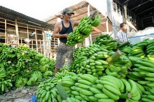 （示意圖源：互聯網） 