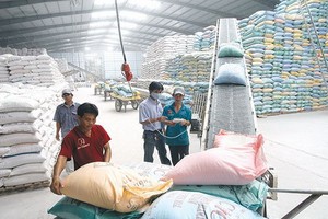 國會斥資補購 2.3 萬噸大米。（示意圖源：工商報）