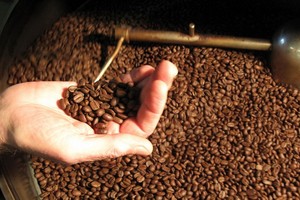 農業與農村發展部：歐盟是越南咖啡的最大銷售市場，佔全國總產量的40%和出口總值的38%。（示意圖源：互聯網）