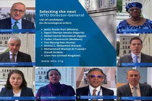 ８名世貿總幹事候選人。（圖源：互聯網）