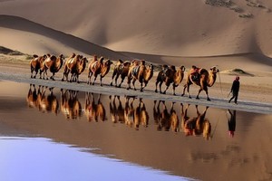 （示意圖源：互聯網） 