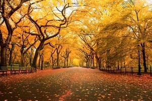 （示意圖源：互聯網） 