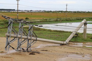 一根電線桿遭颱風吹斷倒塌。（圖源：武盛）