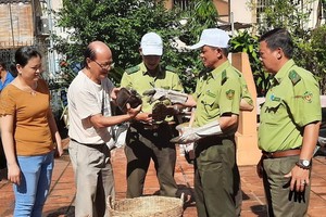 洪世真副理事長將龜移交古芝野生動物保護中心人員。