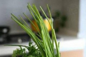 小蔥吃不完難保存？「保鮮膜保存法」放半個月依舊翠綠新鮮