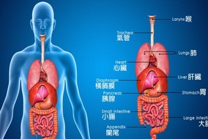 （示意圖源：互聯網） 