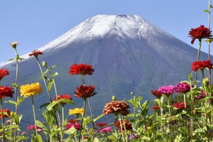 日本甲府地方氣象台28日宣佈，富士山出現“初冠雪”，今年首次披上了銀裝。（圖源：共同社）