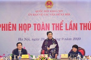 國會常務副主席從氏放在會議上發表指導意見。（圖源：越通社）