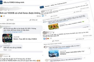 社交網各群組的Ｆ.投資管道吸引不少年輕人。