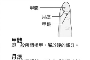 14 種指甲異常 暗示你身體出問題