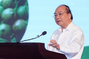 政府總理阮春福出席會議並發表指導意見。（圖源：光孝）