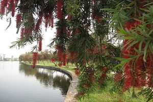 （示意圖源：互聯網） 