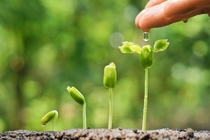 （示意圖源：互聯網） 