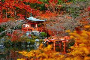 （示意圖源：互聯網） 