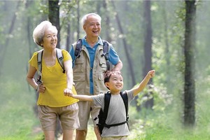 （示意圖源：互聯網） 