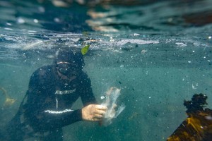 澳洲最新研究預估，全球海底應有超過1400萬噸塑膠微粒。（圖源：歐新社）