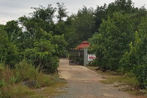 圖為保隆橡膠一成員有限責任公司總部。（圖源：黃甲）