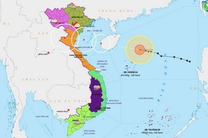圖為7號颱風的移動方向。（圖源：越南氣象局網）