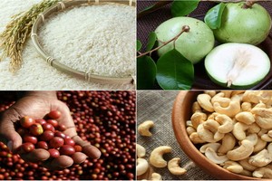 （示意圖源：互聯網） 