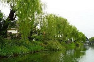 （示意圖源：互聯網） 