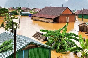 廣平省廣寧縣上千住房被淹沒在洪水中。（圖源：范長）