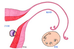 （示意圖源：互聯網） 