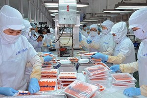 食品生產加工。（示意圖源：互聯網）