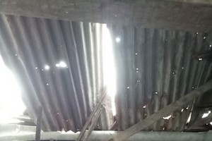 陳蘇清在破爛屋子裡。