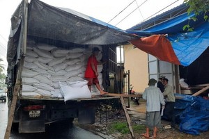 10月31日，全部糧食食品已聚集在廣南省福山縣福功及福金鄉。（圖源：越通社）