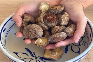 營養豐富的香菇。（示意圖源：互聯網） 