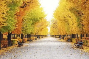 （示意圖源：互聯網） 