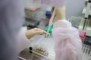 新冠病毒疫苗研製。（示意圖源：互聯網）