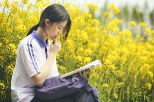 （示意圖源：互聯網） 