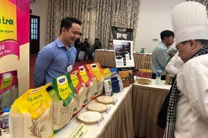 圖為第二次越南優質大米比賽現場一瞥。（圖源：清海）