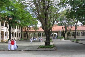 （示意圖源：互聯網） 