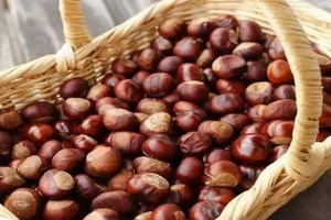 秋果之王！每天吃幾顆“腰好腿好腎好”