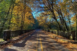 （示意圖源：互聯網） 