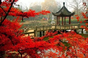 （示意圖源：互聯網） 