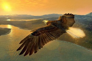 （示意圖源：互聯網） 