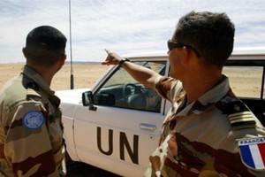 圖為聯合國西撒哈拉全民投票特派團。（圖源：AFP）