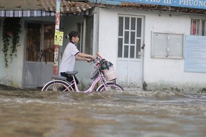 潮汛導致本市多條沿河街道受淹。（圖源：丁金）
