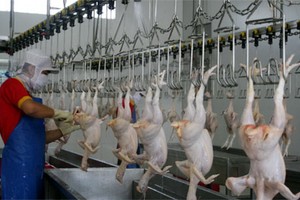 （示意圖源：互聯網） 