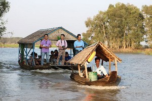 遊客觀光同塔省的禽鳥白千層國家公園。
